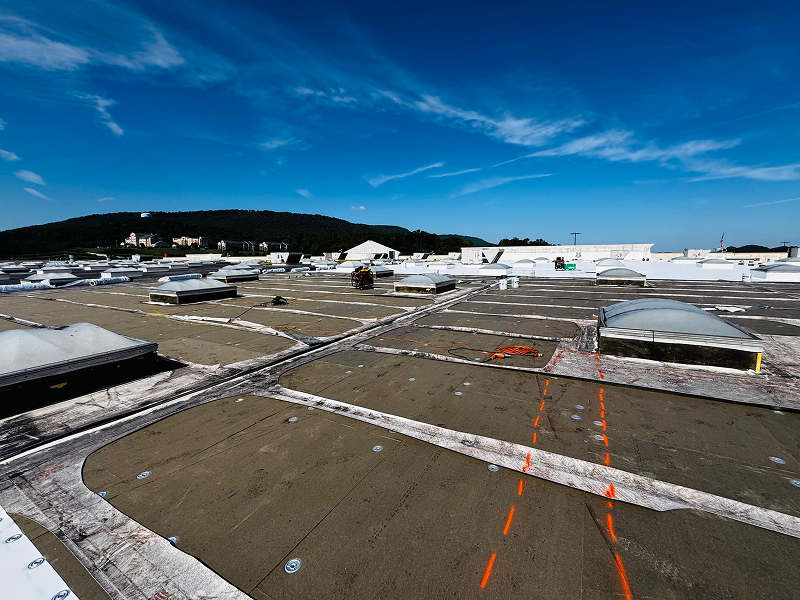 135e964e-bb19-4bc6-b4dd-2ad4c7e58576 1