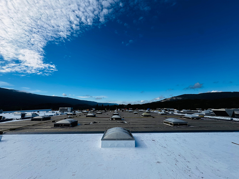 137c8b19-5e43-45a1-956e-0a40d4685dcc 1