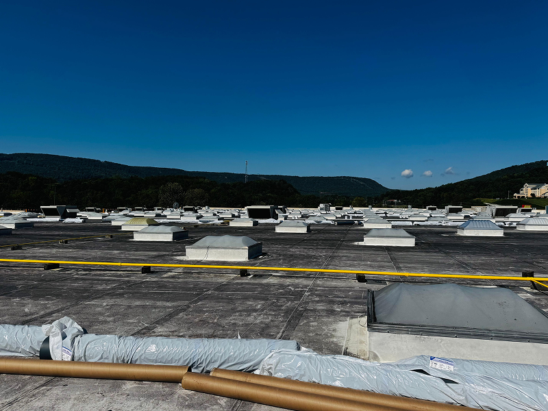 9bedd7e9-e69d-4122-b044-82080cba61cd 1