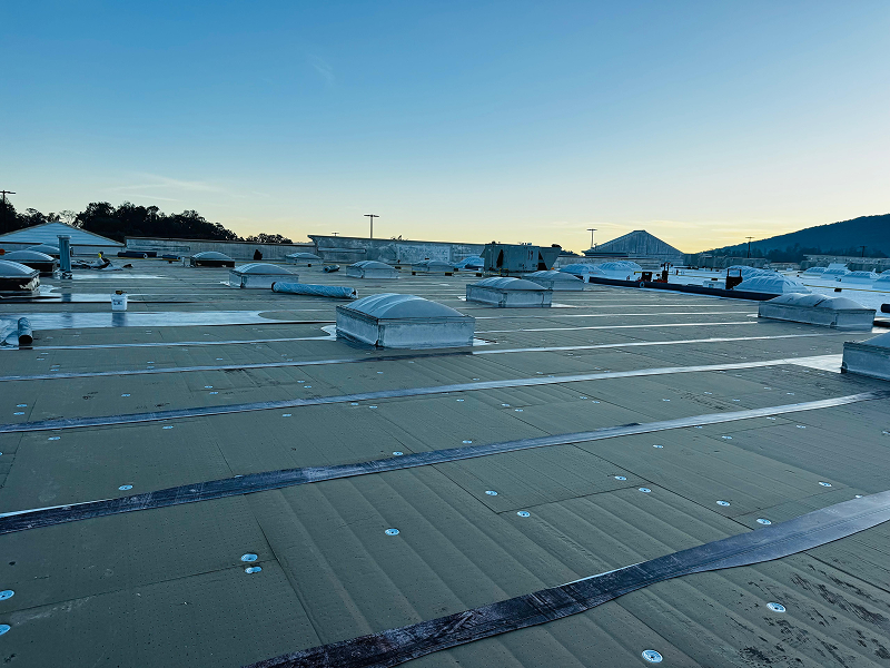 WhatsApp Image 2025-11-29 at 01.48.07 1