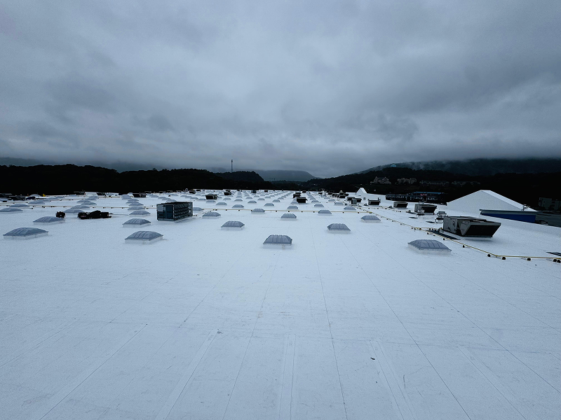 WhatsApp Image 2025-11-29 at 01.48.50 (1) 1