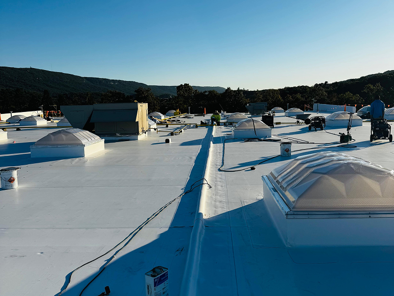 WhatsApp Image 2025-11-29 at 01.48.50 1