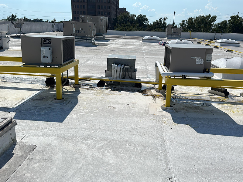 WhatsApp Image 2025-11-29 at 02.10.15 (1) 1