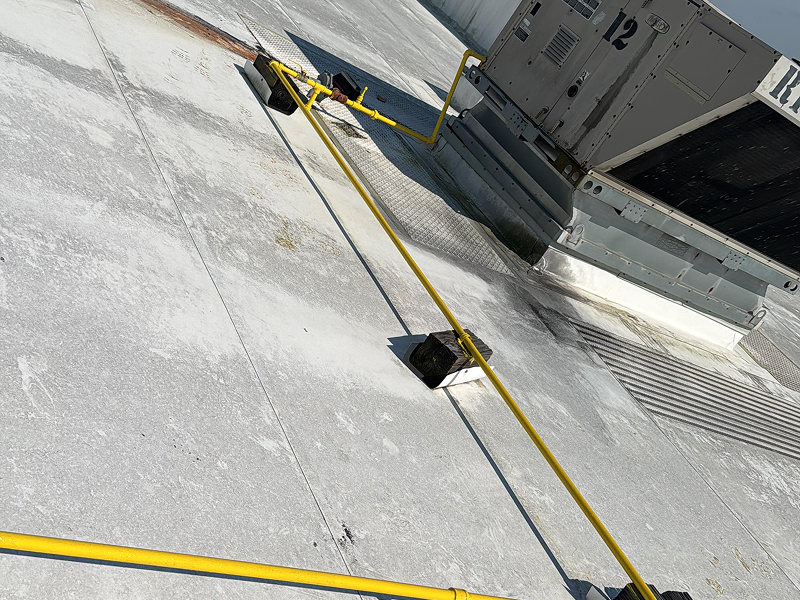 WhatsApp Image 2025-11-29 at 02.10.15 1