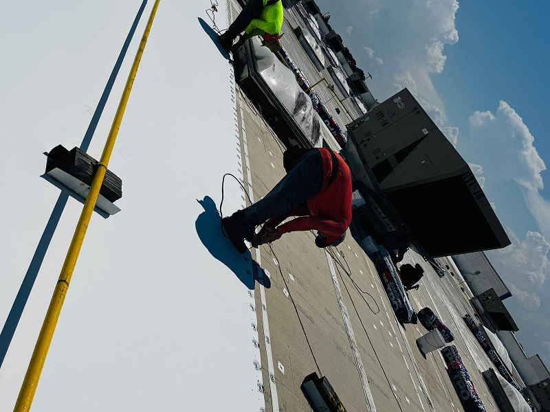 WhatsApp Image 2025-11-29 at 02.10.16 (1) 1