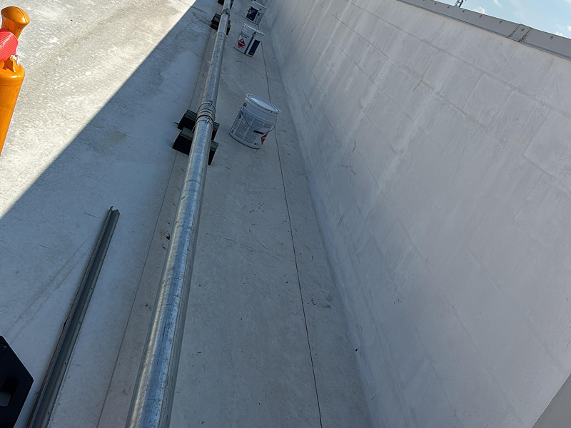 WhatsApp Image 2025-11-29 at 02.10.16 1