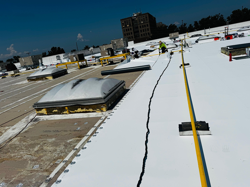 WhatsApp Image 2025-11-29 at 02.10.25 1