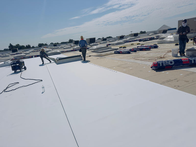 WhatsApp Image 2025-11-29 at 02.10.25 (2) 1