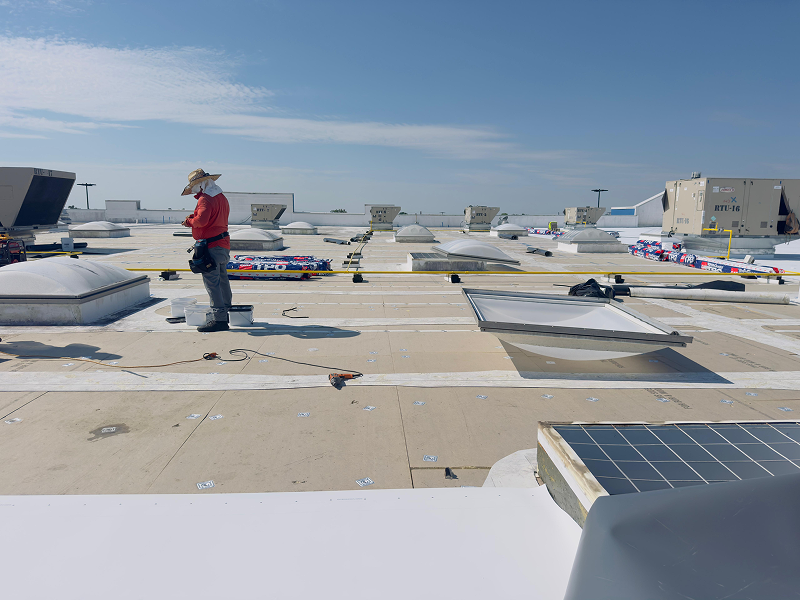 WhatsApp Image 2025-11-29 at 02.10.26 1