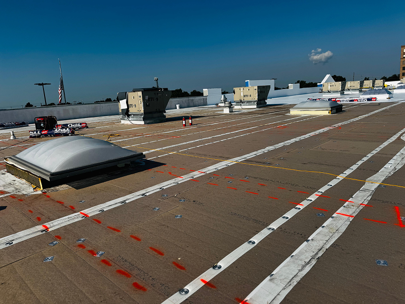 WhatsApp Image 2025-11-29 at 02.10.27 (1) 1