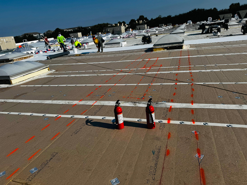 WhatsApp Image 2025-11-29 at 02.10.27 1